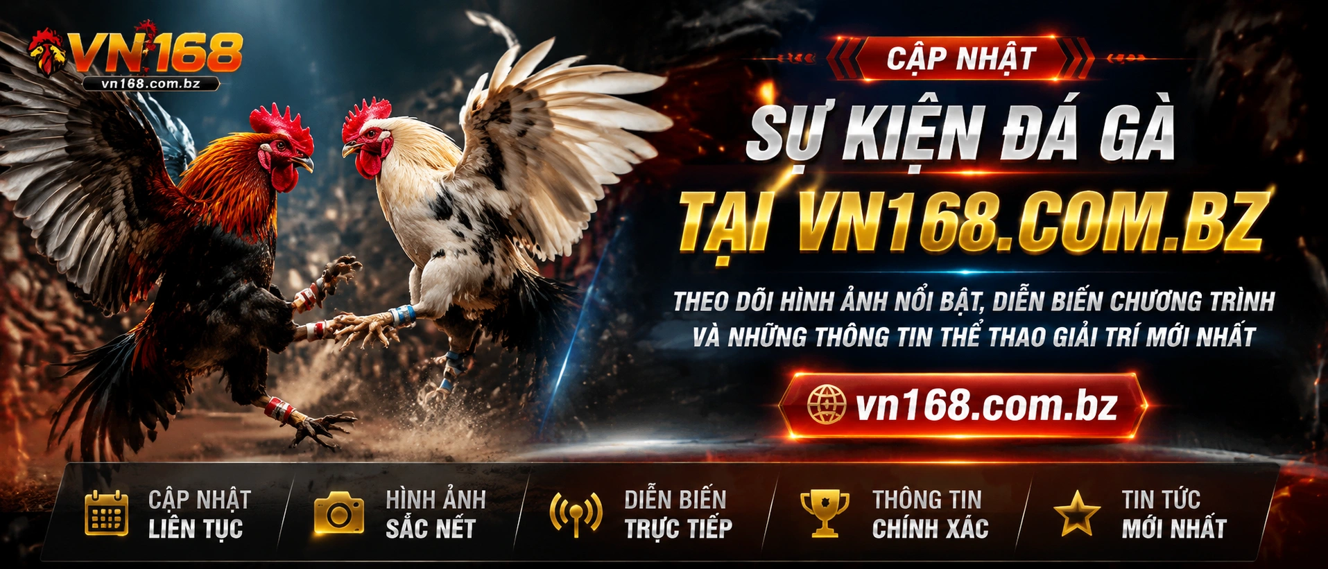 Đá Gà Trực Tiếp trên vn168.com.bz